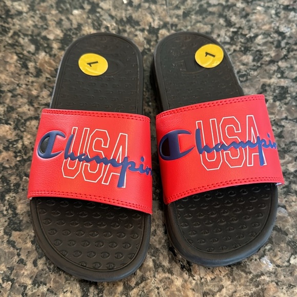 Champion slides 1 - Picture 2 of 6